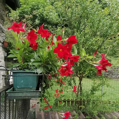 度假居 Casa Prucci *